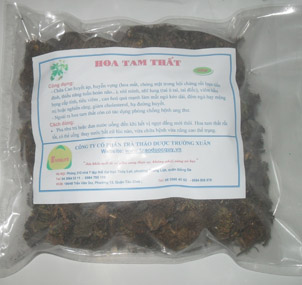 Mua Hoa Tam Thất ở đâu uy tín, giá rẻ ?